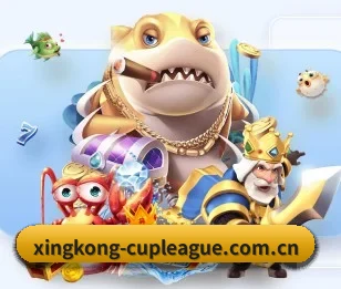 星空官网入口的故事