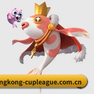 星空官网入口 APP